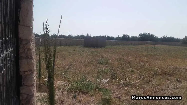 Terrain à vendre 3000m - الصويرة (3)