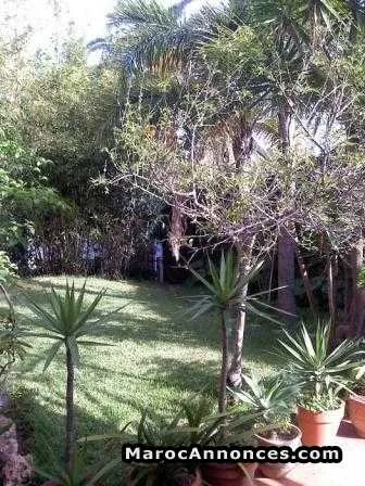 Villa vide à la location à anfa supérieur - الدار البيضاء (2)