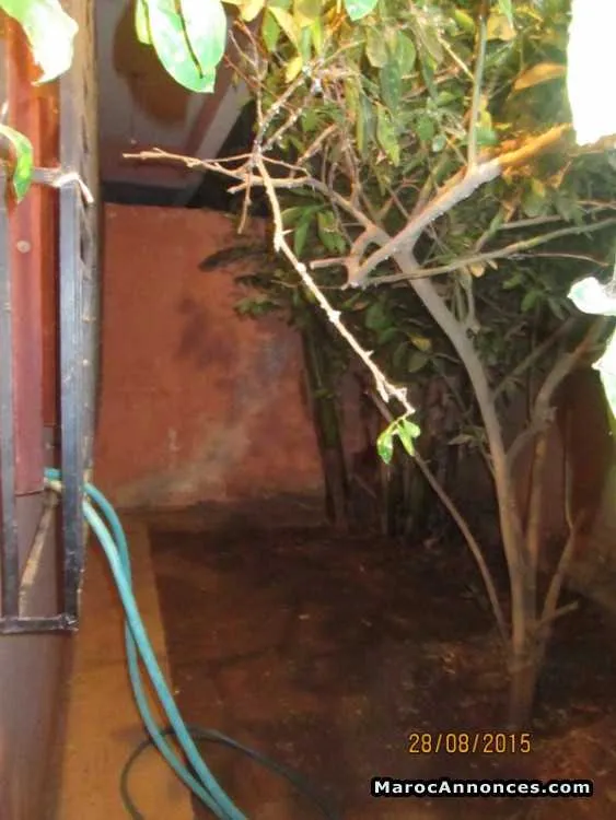 Maison 130 m2 sidi bennour - Autre ville /