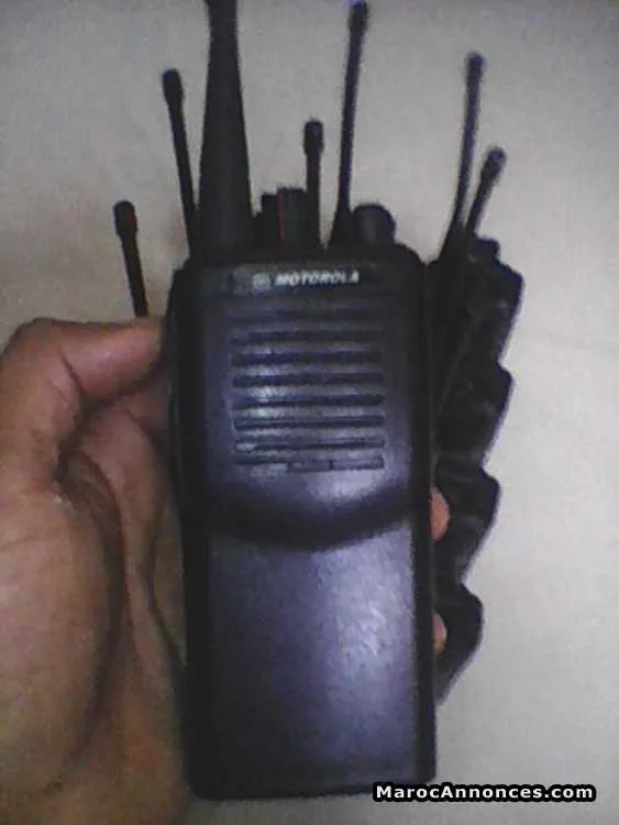 Motorola gp98 - مراكش (3)