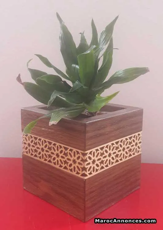 Pot en bois étanche - الرباط (2)