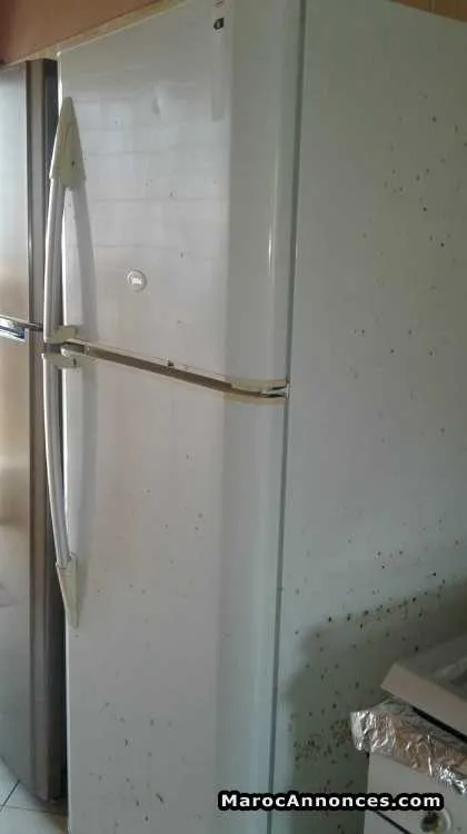 Vends réfrigérateur 435 l - الدار البيضاء