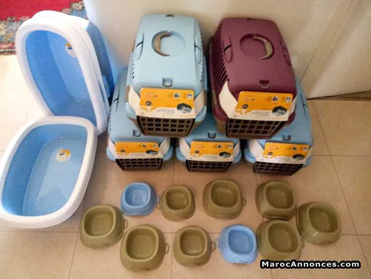 Accessoires neuf pour chat est chiot - الرباط (2)