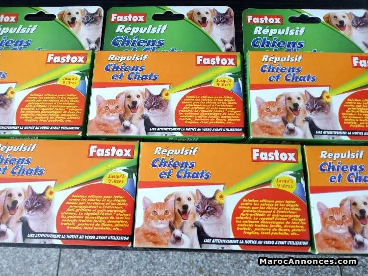 Accessoires neuf pour chat est chiot - الرباط (3)