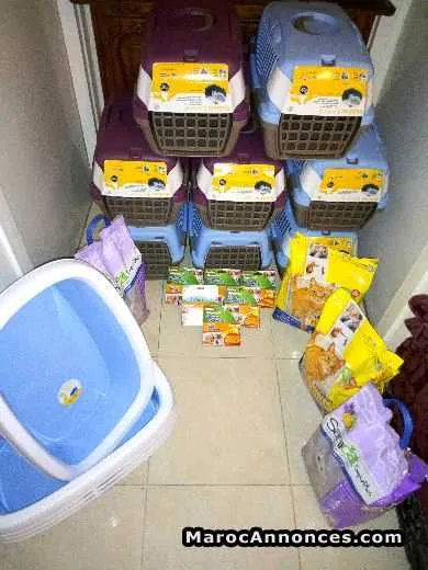 Cages italienne incassable pour chat est chiot - الرباط