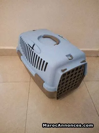 Cages italienne incassable pour chat est chiot - الرباط (2)