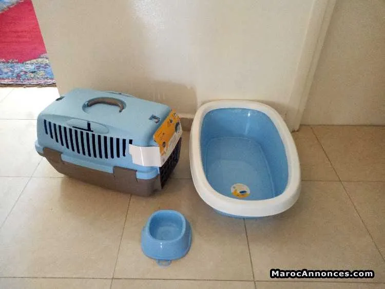 Ensembles neufs pour chat est chiot - الرباط (2)