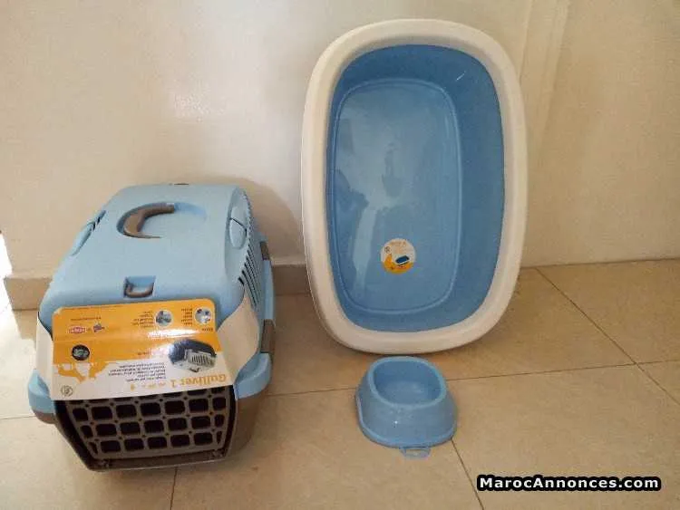 Ensembles neufs pour chat est chiot - الرباط