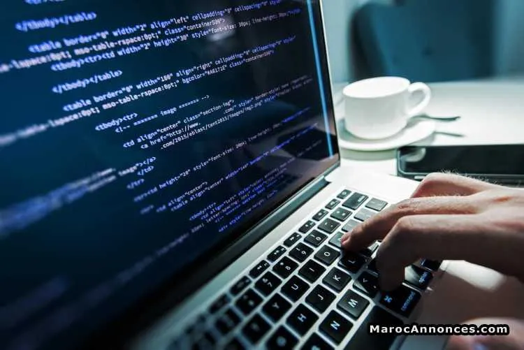 Développement des sites web - الرباط