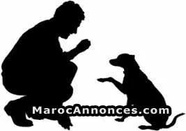 Dresseur des chiens - الدار البيضاء
