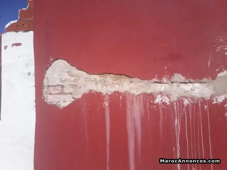 البناء والمرطوب وإصلاح مشاكل تسرب المياه - طنجة (3)