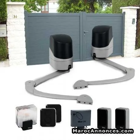 Entretien et installation motorisation portail - طنجة
