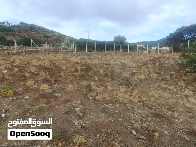 أرض للبيع ملوسة بالضبط عين حمراء - طنجة