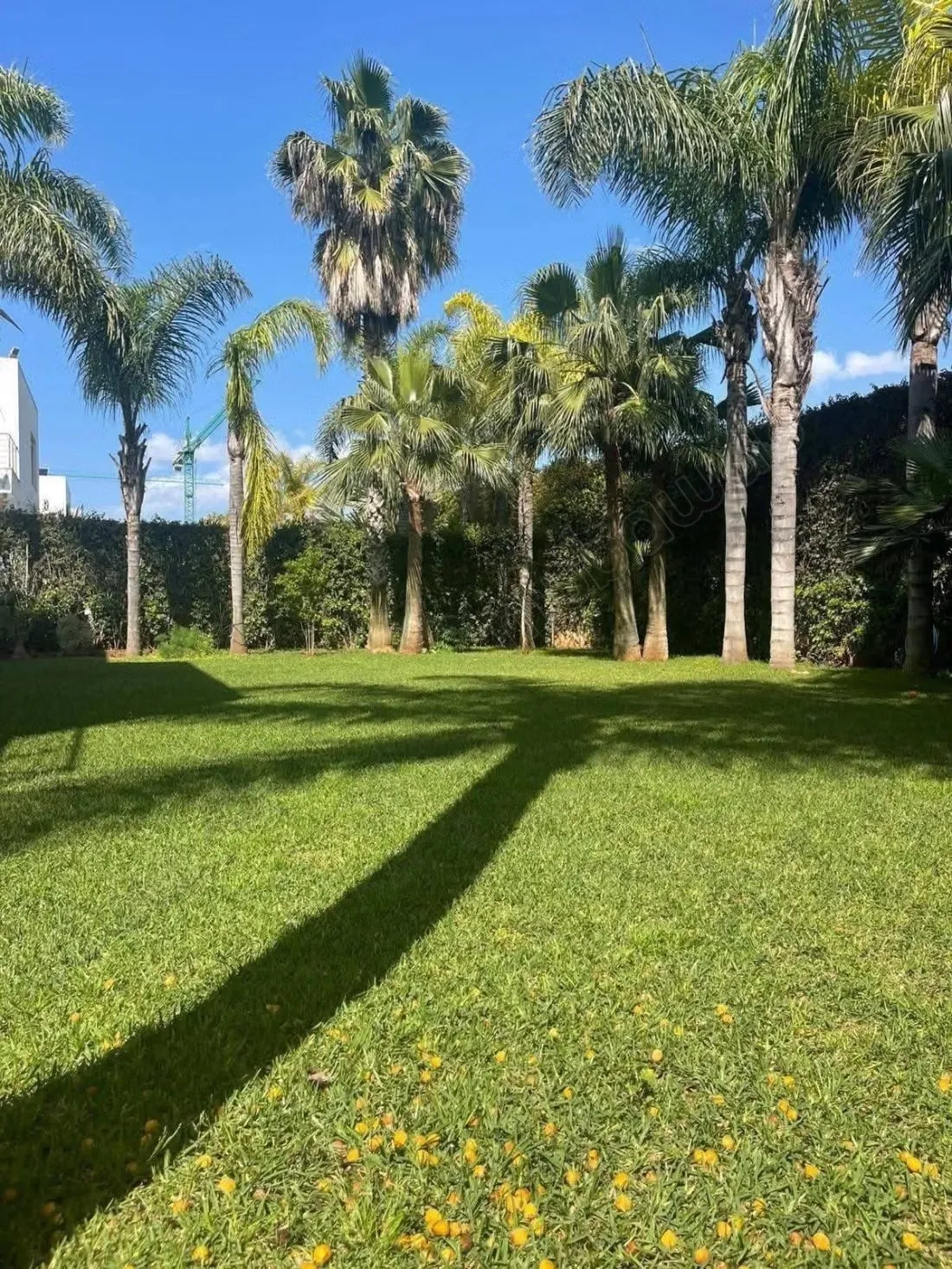 Superbe villa moderne à vendre à Calofornie 
Bd mekka Casabl... - الدار البيضاء (2)