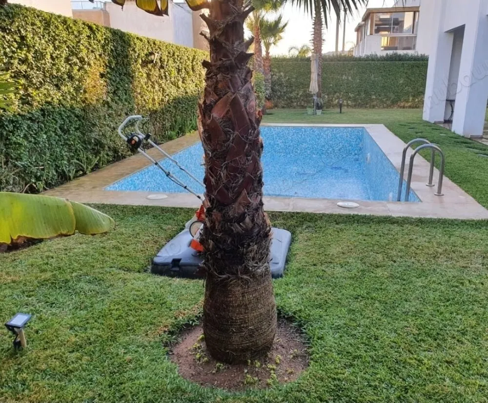 Villa à Louer sur prestigia 
plage des nations - سلا (3)