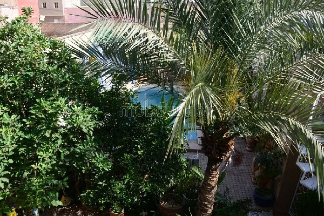 Villa du Jardin avec piscine - تارودانت (2)