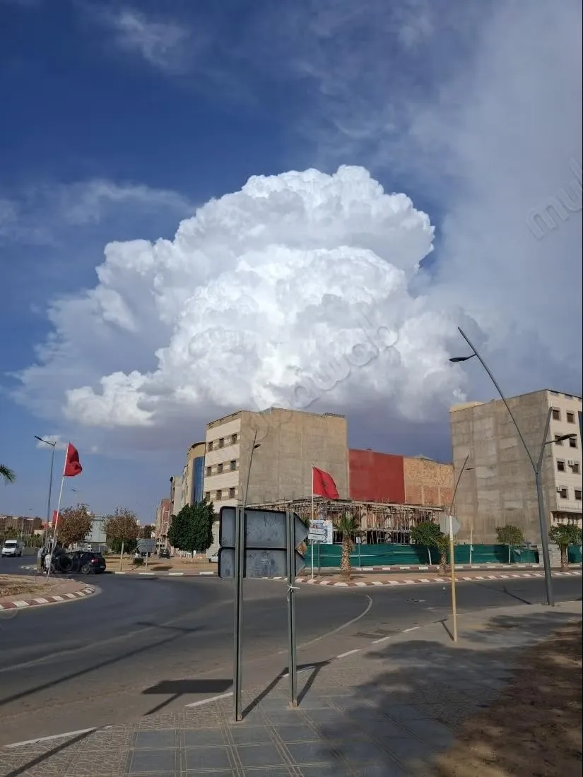 Bureaux et magasins à vendre à Taourirt. Superficie de 150 m... - تاوريرت