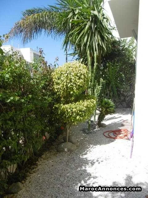 Appartement 123 m² à vendre, ain diab, casa - الدار البيضاء (2)