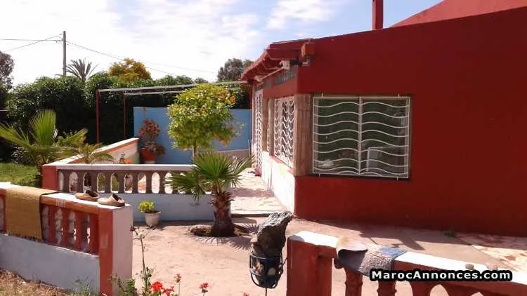 Terrain avec maison - سيدي رحال (3)