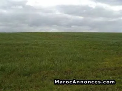 Terrain de 130000m² à vendre sur bouskoura - بوسكورة