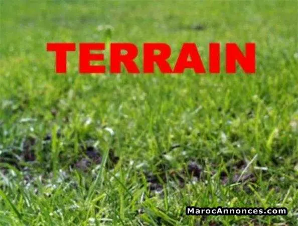 Terrain de 347m² à vendre sur centre ville - الدار البيضاء