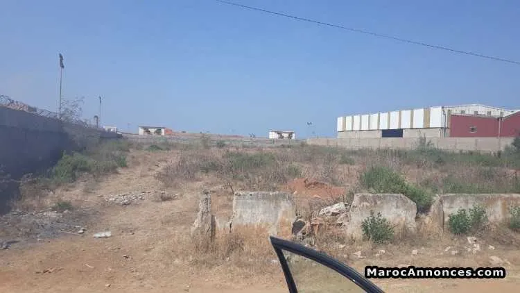 Vente terrain industriel à kénitra - القنيطرة (3)