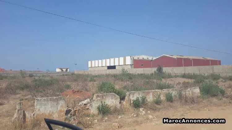 Vente terrain industriel à kénitra - القنيطرة (2)