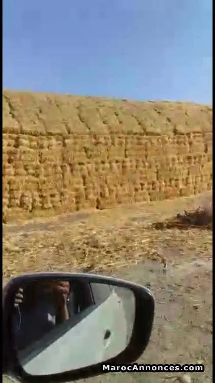 Terrain à vendre meknès - مكناس (2)