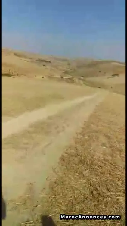 Terrain à vendre meknès - مكناس (3)