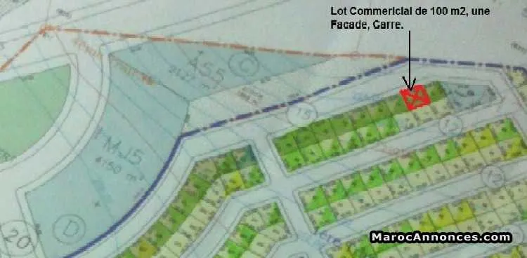 Lot commercial - وجدة