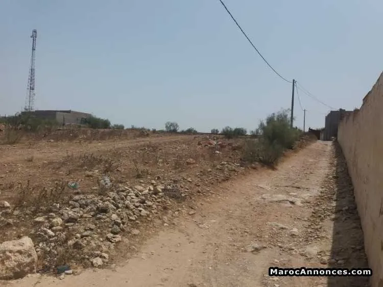 Vente terrain à safi sidi msahel 4600 m2 - الدار البيضاء (3)