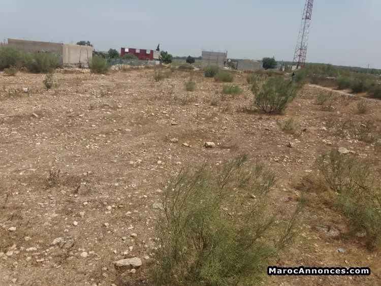 Vente terrain à safi sidi msahel 4600 m2 - الدار البيضاء (2)