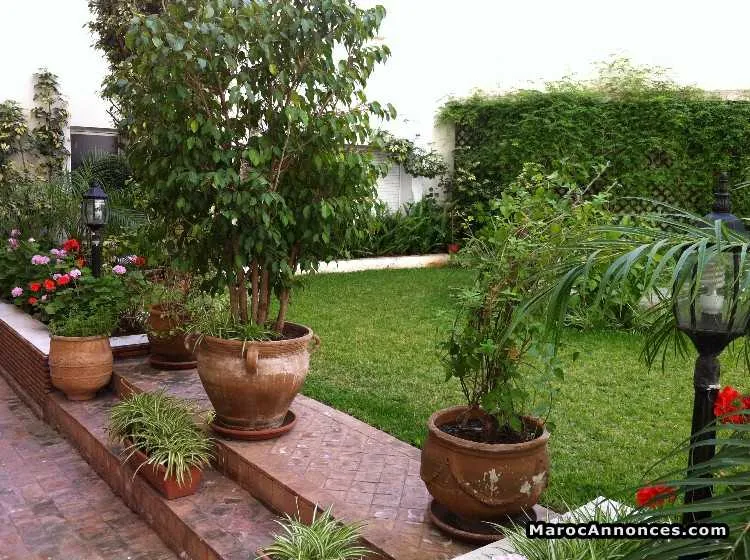 Location appartement  en plein centre de casablanca - الدار البيضاء (2)