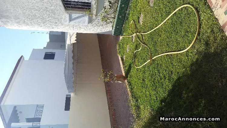 Villa vide a louer a hay riad, rabat 450m² - الرباط