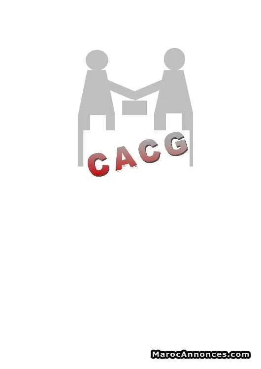 Cacg :travaux comptables et fiscaux - طنجة
