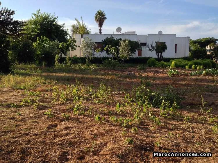 Villa  3200 m² à souissi, rabat - الدار البيضاء (2)
