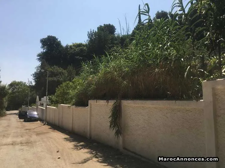 Villa a vendre - صفرو