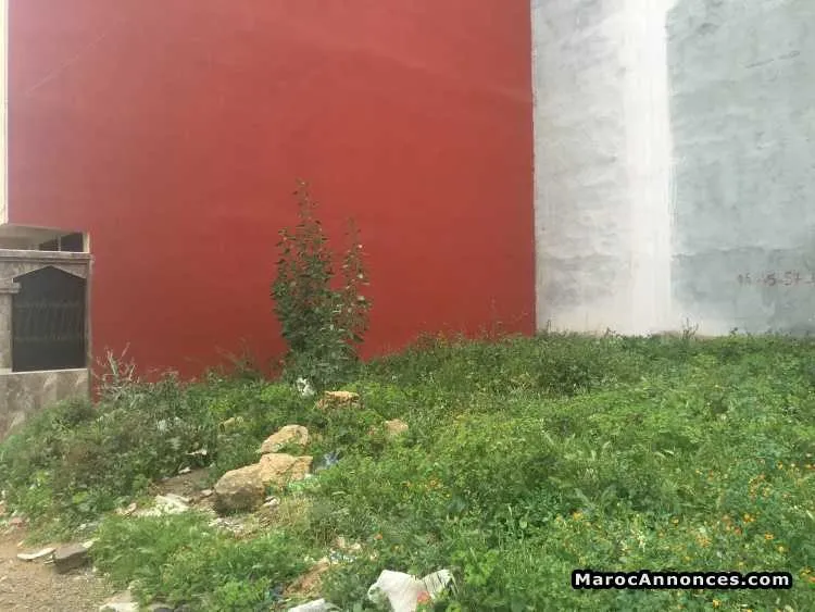 Terrain de mason a 2 facades hamza a vendre - أسفي (2)