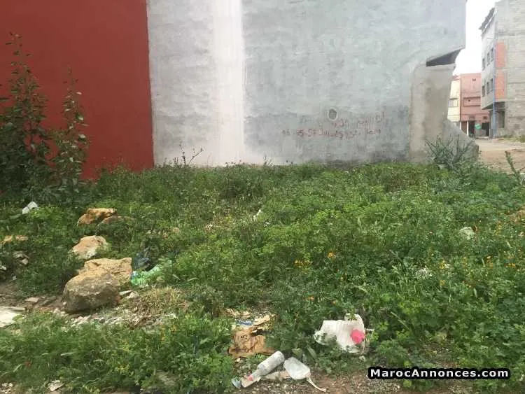 Terrain de mason a 2 facades hamza a vendre - أسفي (3)