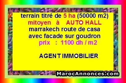 Terrain de 5 ha - مراكش