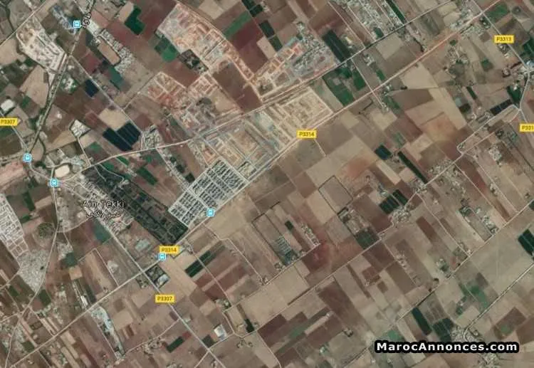 Terrain 20 000 m² à beni yakhlef - المحمدية (2)