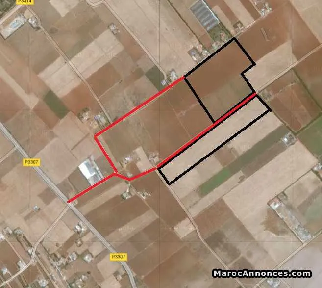 Terrain de 9 ha - المحمدية