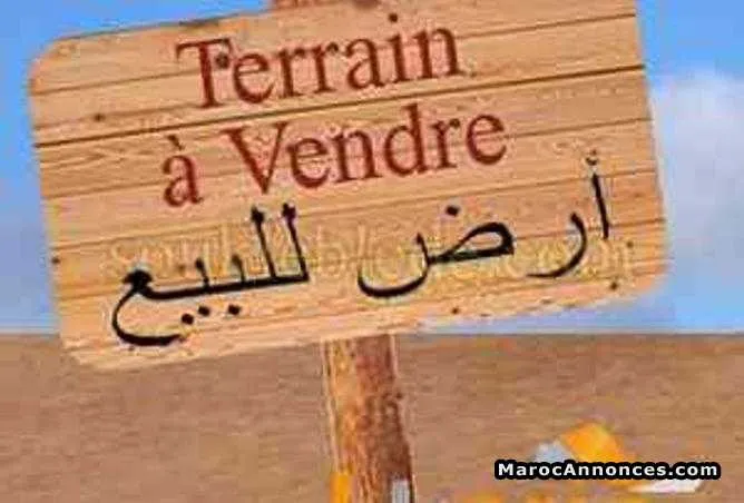 Terrain a vendre - أسفي