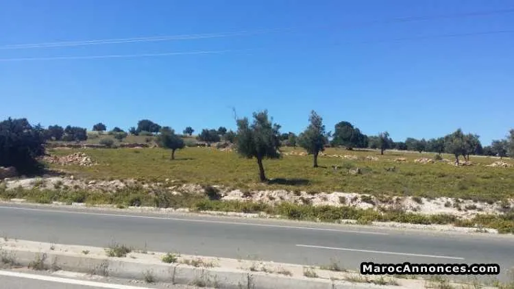 Terrain titré de 6222 m2 essaouira ounagha - أسفي