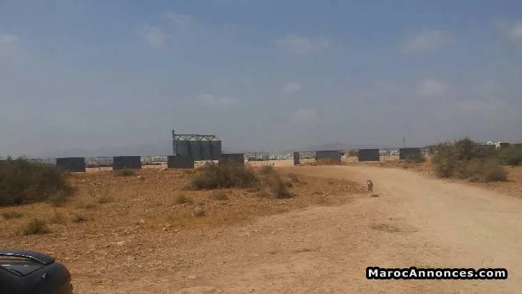 Terrain pour un bon projet a selouan 7 hectares - الناظور (2)