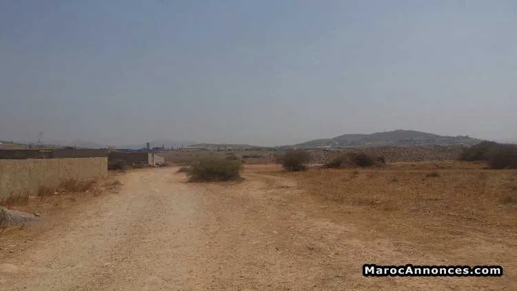Terrain pour un bon projet a selouan 7 hectares - الناظور