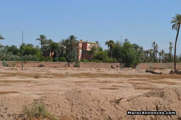 Terrain titré de 2000 m2 au coeur de la palmeraie - مراكش (3)