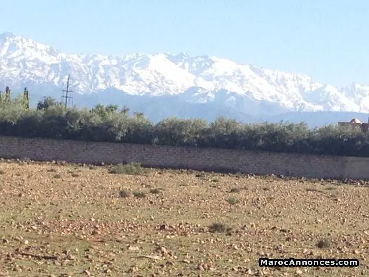 Terrain  1 hectare route ourika - مراكش (2)