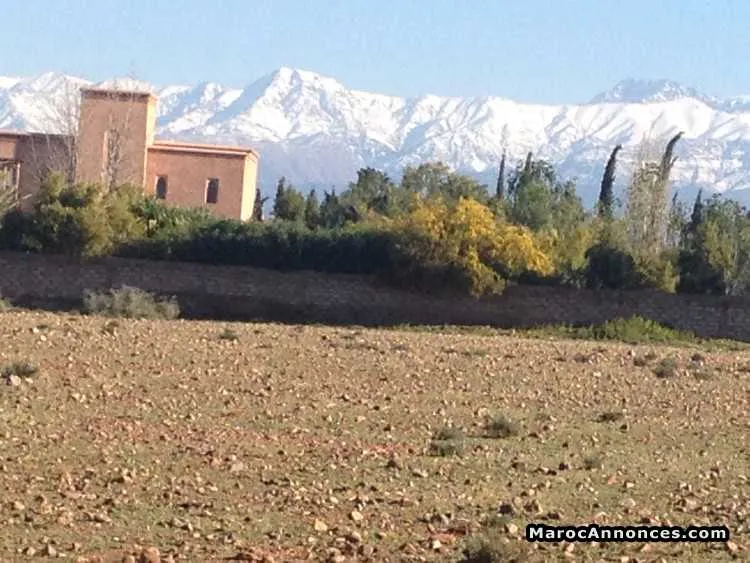 Terrain  1 hectare route ourika - مراكش
