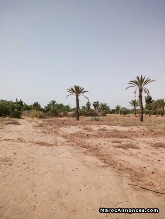 Vente parcelle de 1000 m pour villa - مراكش